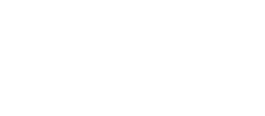 THE MUSE COMPANY